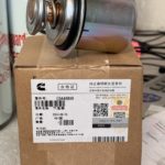 g5448899-termostat.jpeg